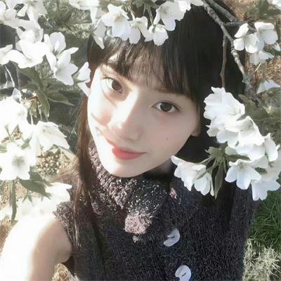 没头脑和不高兴